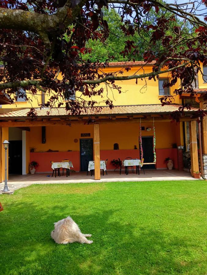 Terra Del Bosco Agriturismo Sesta Godano Zewnętrze zdjęcie