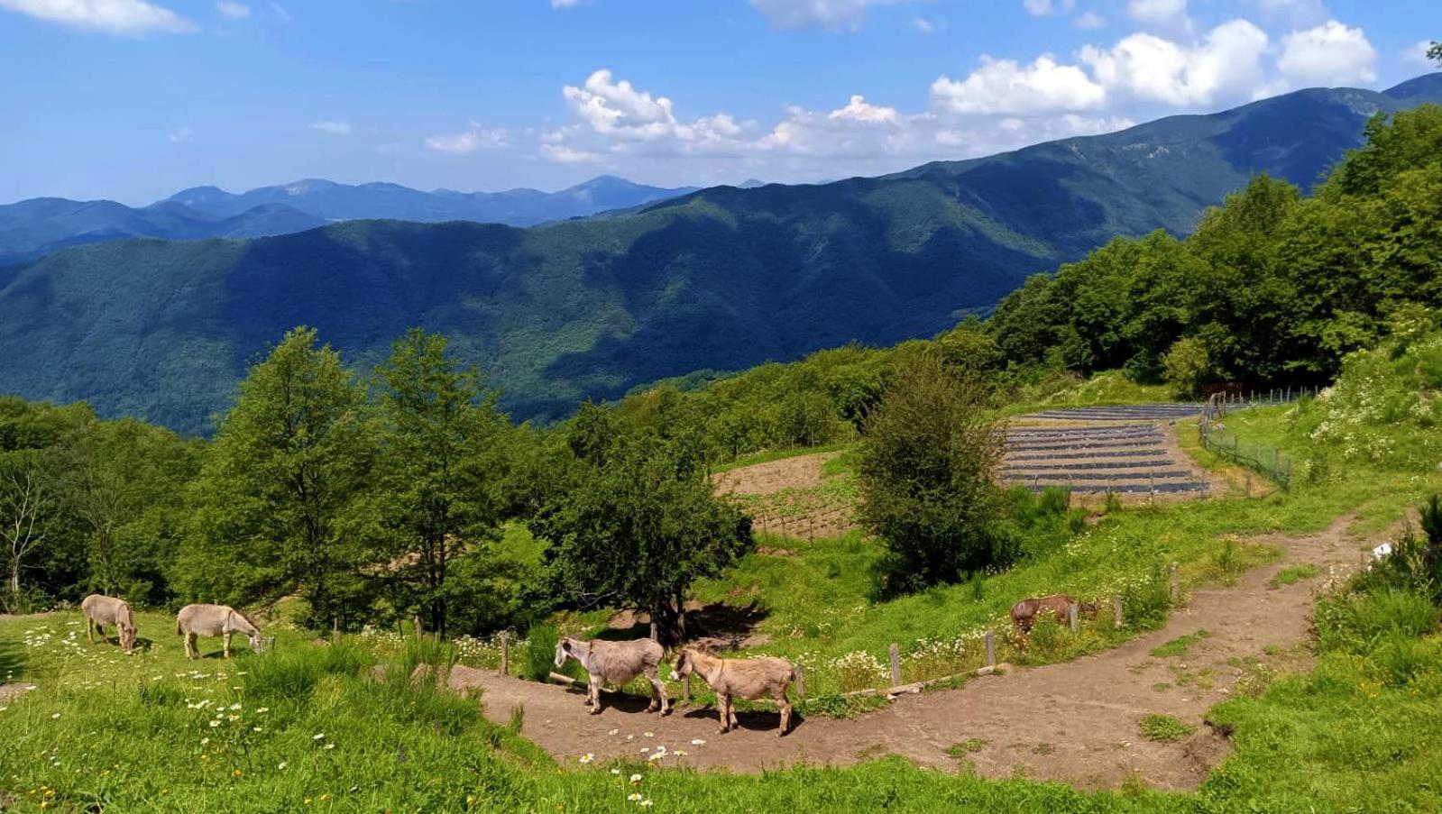 Terra Del Bosco Agriturismo Sesta Godano Zewnętrze zdjęcie