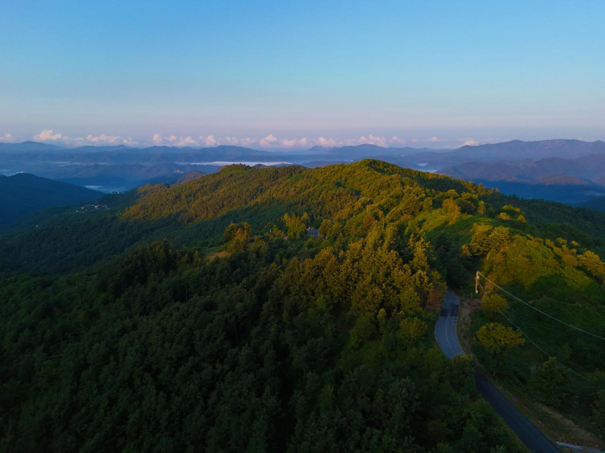 Terra Del Bosco Agriturismo Sesta Godano Zewnętrze zdjęcie