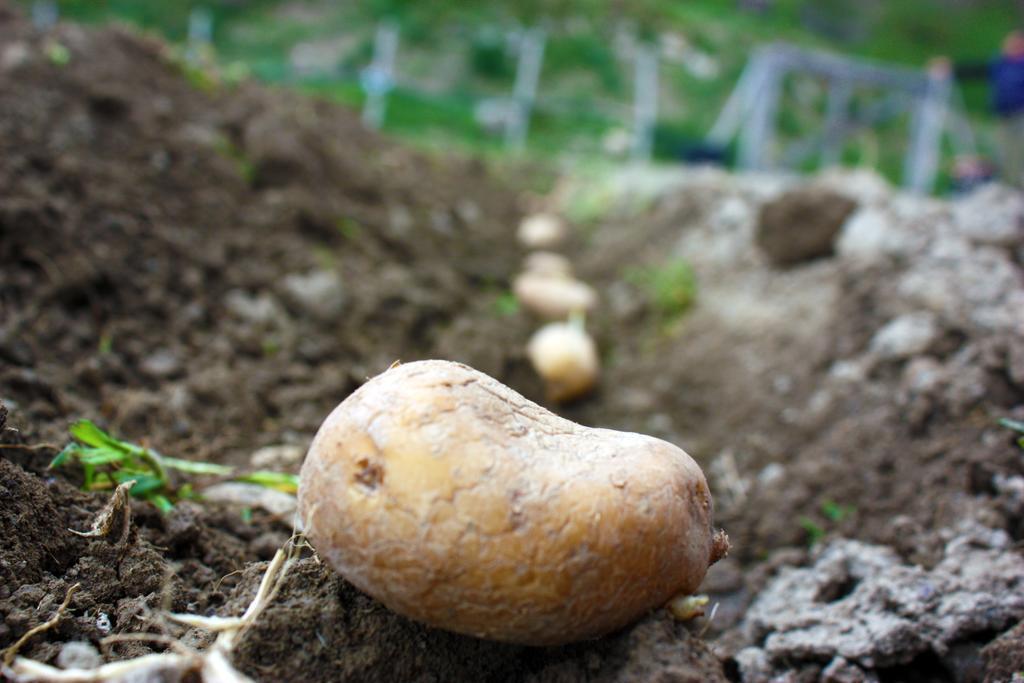 Terra Del Bosco Agriturismo Sesta Godano Zewnętrze zdjęcie