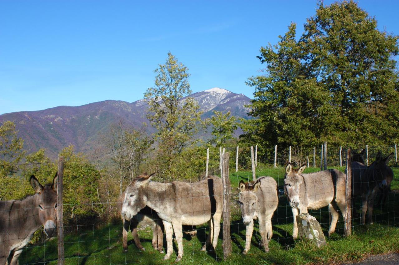Terra Del Bosco Agriturismo Sesta Godano Zewnętrze zdjęcie