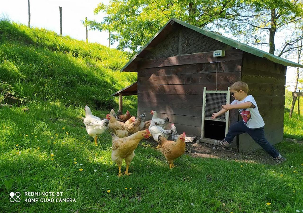 Terra Del Bosco Agriturismo Sesta Godano Zewnętrze zdjęcie